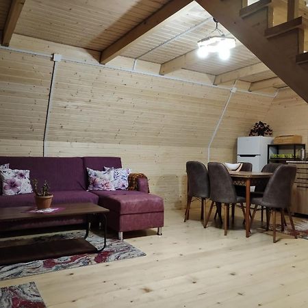 Guesthouse Venera Mestia Zewnętrze zdjęcie