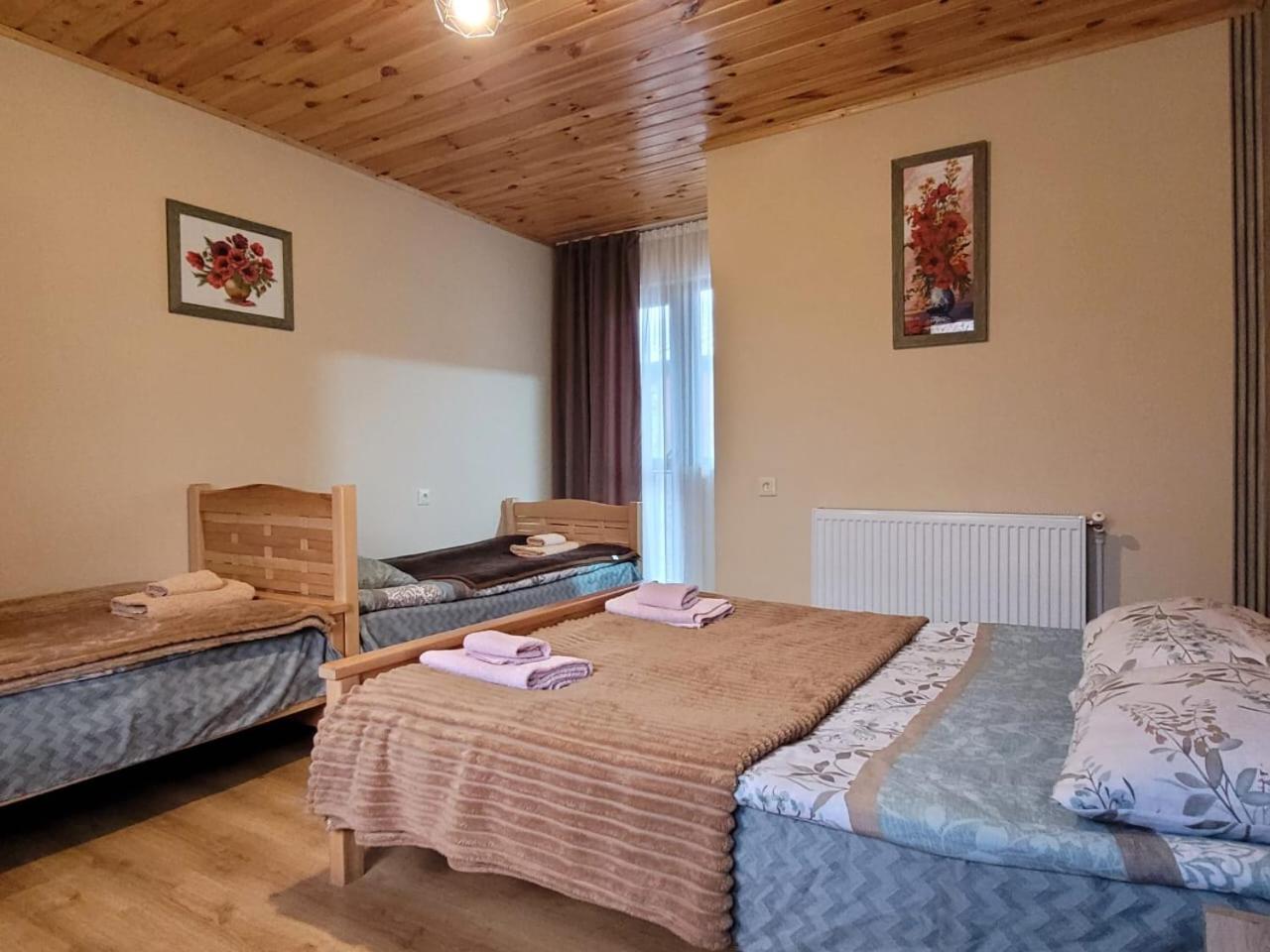 Guesthouse Venera Mestia Zewnętrze zdjęcie